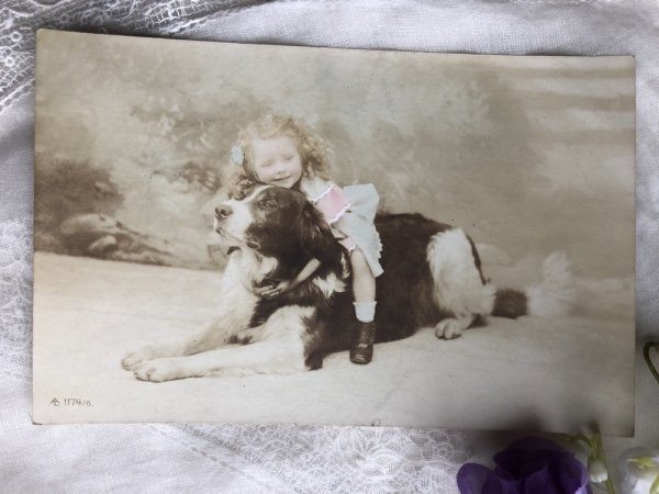 画像2: Postcard  大きな犬に乗る女の子 フランス1906年 (2)