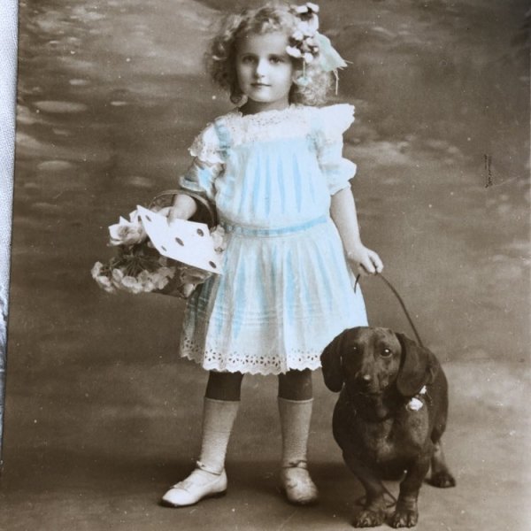 画像1: Postcard 　ダックスフンド犬と手紙とお花を持つ女の子　（未使用） (1)