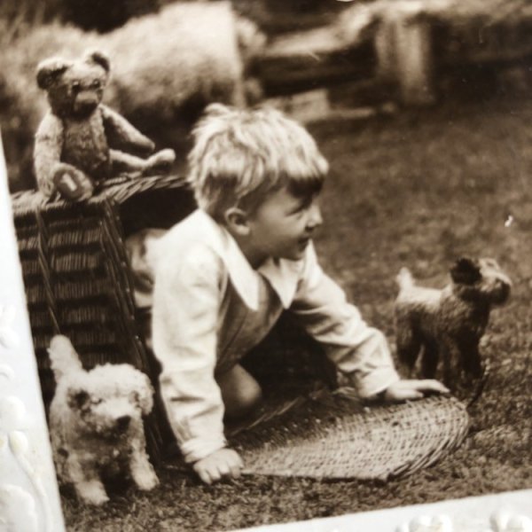 画像3: Postcard 　小さな写真屋さん　テディベア　犬のぬいぐるみ　 (3)