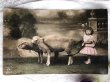 画像2: Postcard 　女の子と2頭の羊　フランス (2)