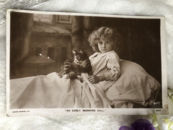 画像2: Postcard 　猫と女の子　イギリス1907年　折れあり (2)