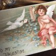 画像1: Postcard　バレンタイン　電話に耳を傾ける天使 E.Clapsaddle　クラップサドル (1)