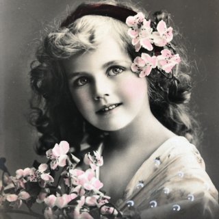 Snowdrop Postcards アンティークポストカード専門店 【写真 美