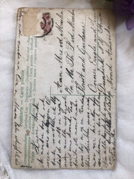 画像3: ▼SALE 500▼ Postcard  白い鳩と女の子 (3)