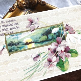 Snowdrop Postcards アンティークポストカード専門店 < Violet >