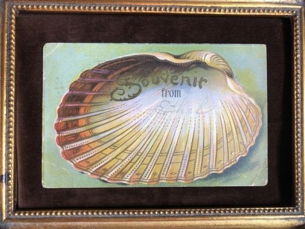 画像2: Postcard 　貝殻のメッセージ　 (2)