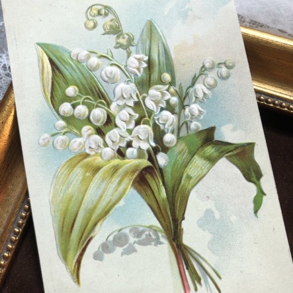 画像1: Postcard 　クリスマス　スズランのお花  イギリス1905年 (1)