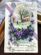 画像2: Postcard 　スミレのお花と田舎の風景　イギリス1913年 (2)