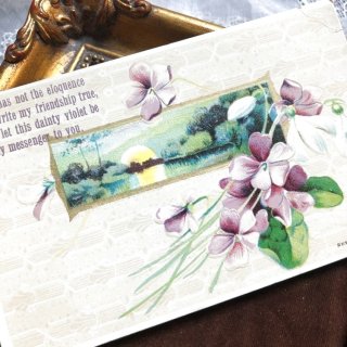 アンティークポストカード専門店 Snowdrop Postcards < Flower