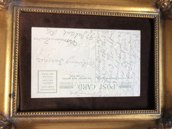 画像3: Postcard 　スミレのお花 (3)