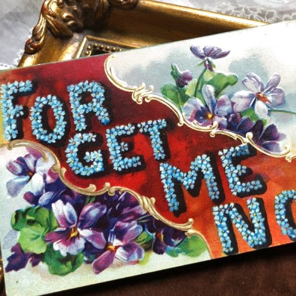 画像1: Postcard 　スミレのお花 　忘れな草のお花文字 FORGET ME NOT (1)