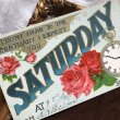 画像1: Postcard　薔薇のお花の招待状　SATURDAY (1)