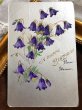 画像2: ▼SALE 500▼　Postcard 　ブルーベルのお花　1906年 (2)