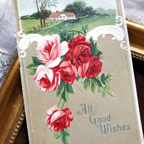 画像1: Postcard　薔薇のお花と風景　 (1)