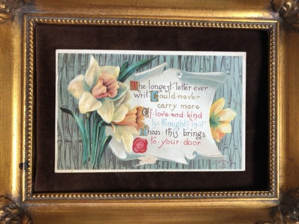 画像2: ▼SALE 500▼ Postcard  水仙のお花 (2)