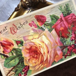 Snowdrop Postcards アンティークポストカード専門店 < Rose >