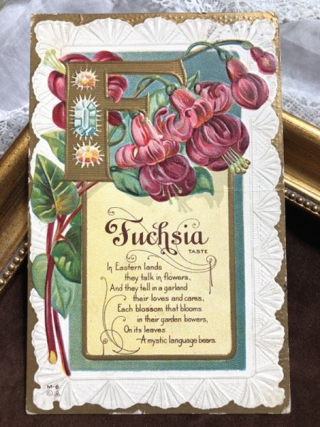画像2: Postcard  フクシャのお花 Fuchsia (2)