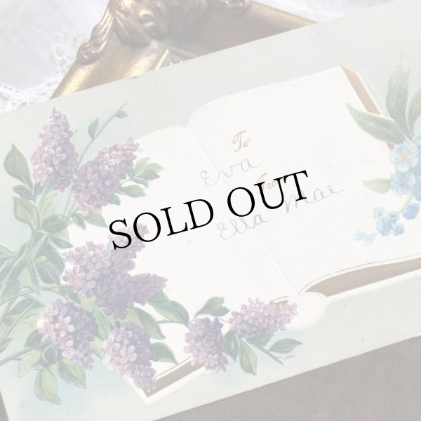 中央に大きな折れあり