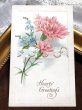 画像2: ▼SALE 500▼　Postcard 　カーネーションのお花  (未使用) (2)