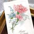 画像1: ▼SALE 500▼　Postcard 　カーネーションのお花  (未使用) (1)