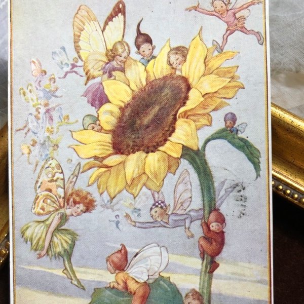 画像1: Postcard  ヒマワリのお花の妖精たち　Sunflower Fairies by Margaret Tarrant　 (1)