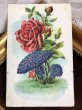 画像2: Postcard　薔薇とスミレのお花のキノコ　カナダ1911年 (2)