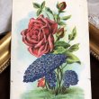 画像1: Postcard　薔薇とスミレのお花のキノコ　カナダ1911年 (1)