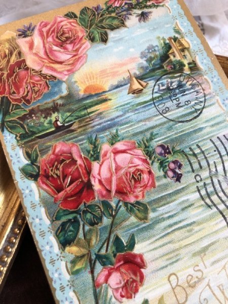 画像3: Postcard   水辺の風景 薔薇のお花 アメリカ1908年 (3)