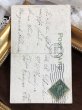 画像4: Postcard  　水辺の風景　お花　アメリカ1908年 (4)