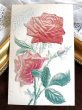 画像2: Postcard　薔薇のお花　シルク貼り (2)
