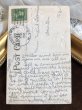 画像3: Postcard　クレマチスのお花　L文字　アメリカ1910年 (3)
