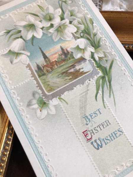 画像3: ▼SALE 500▼ Postcard お花 1911年 (3)