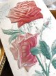 画像3: Postcard　薔薇のお花　シルク貼り (3)
