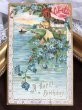 画像2: Postcard  　水辺の風景　薔薇　忘れな草のお花　アメリカ1908年 (2)