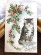画像2: Postcard　クリスマス　ホーリーとキジトラ猫　Helena Maguire　アメリカ1908年 (2)