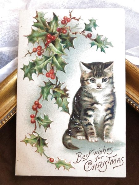 画像2: Postcard クリスマス ホーリーとキジトラ猫 Helena Maguire アメリカ1908年 (2)