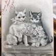 画像1: Postcard　お花のバスケットと猫　Helena Maguire　フランス1905年 (1)