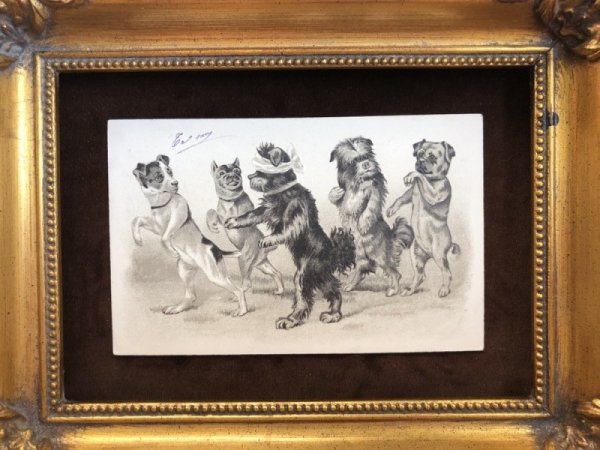 画像3: Postcard 目隠し鬼さんで遊ぶ犬たち Helena Maguire ? スイス1902年 (3)