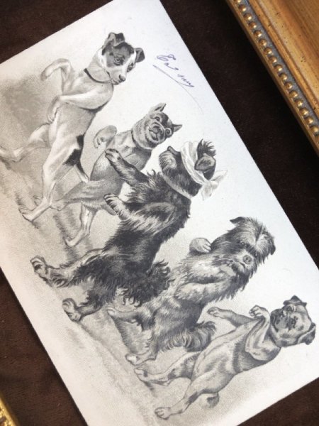 画像4: Postcard 目隠し鬼さんで遊ぶ犬たち Helena Maguire ? スイス1902年 (4)