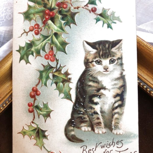 画像1: Postcard　クリスマス　ホーリーとキジトラ猫　Helena Maguire　アメリカ1908年 (1)