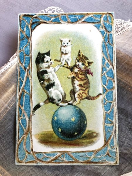 画像2: Trade card   猫の軽業師 ボールに乗った曲芸猫ちゃん Helena Maguire (2)