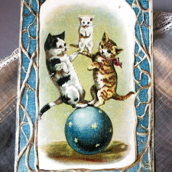 画像1: Trade card   猫の軽業師　ボールに乗った曲芸猫ちゃん　Helena Maguire (1)