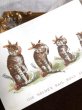 画像2: Trade card   歯痛に苦しむ4匹の猫たち　 (2)