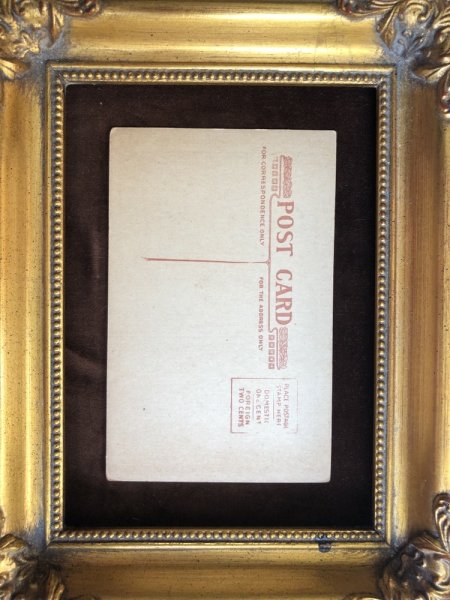 画像3: ▼SALE 500▼ Postcard 2匹の犬(未使用) (3)