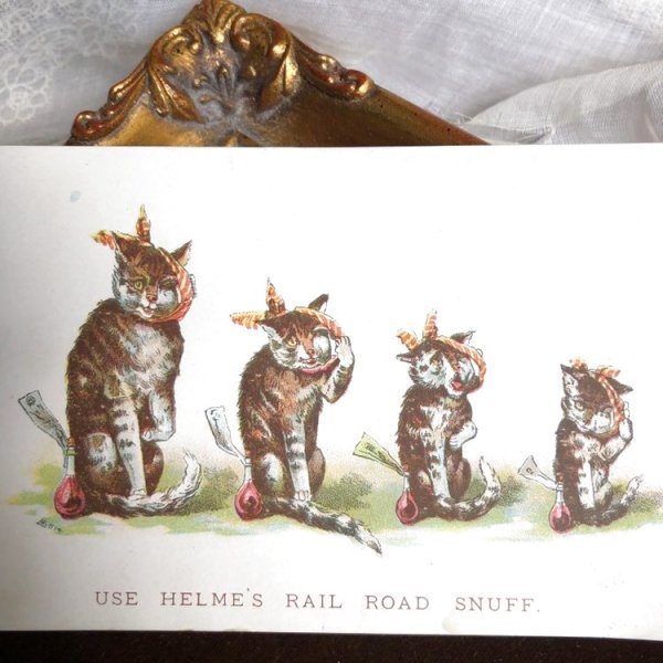 画像1: Trade card   歯痛に苦しむ4匹の猫たち　 (1)