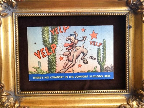 画像2: ▼SALE 500▼ Postcard サボテンと犬  (2)