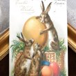 画像1: Postcard 　イースター　大きな卵とウサギさん　アメリカ1907年 (1)