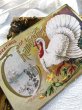 画像3: Postcard　感謝祭　サンクスギビング　白い七面鳥とカボチャ　清教徒 (3)