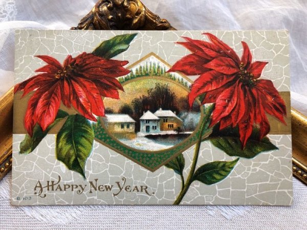画像2: Postcard　クリスマス　ポインセチア (2)