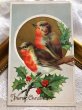 画像1: Postcard　クリスマス　ホーリーと小鳥　ロビン　アメリカ1914年 (1)